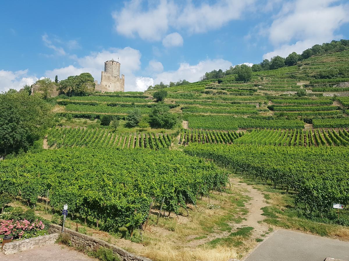 Kaysersberg City Center - Cote Vignoble - Екстер'єр фото